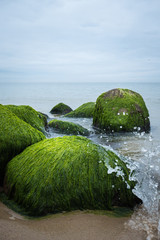 Ostseeküste am Strand mit Steinen überzogen mit Moos und Wasserspritzern