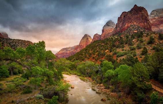 River in Zion