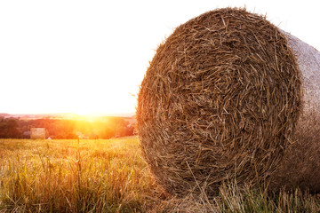 Strohballen auf einem Feld bei Sonnenuntergang.