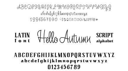 Vector Alphabet. Calligraphic font. Unique Custom Characters. Hand Lettering for Designs - logos, badges, postcards, posters, prints. Modern brush handwriting Typography.