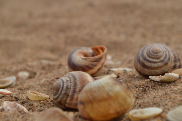 sea sand beach summer