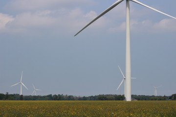 Windmills of Huron County