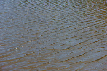 Water surface of the lake