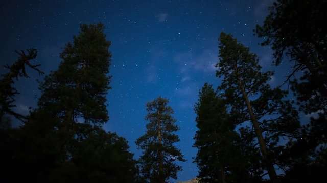  Stars in Alpine Forest 12 Time Lapse Clouds