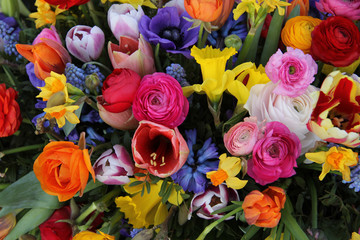 Spring flowers in bright colors