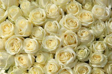 Obraz na płótnie Canvas Group of white roses in floral wedding decorations