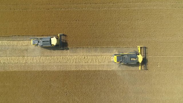 Drone view on a big harvester machines harvesting wheat field
