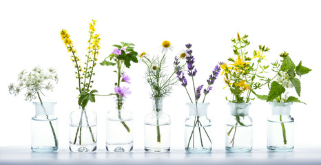 Fototapeta Alternative Medicine  -  Various Herbs obraz