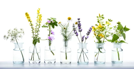 Zelfklevend Fotobehang Alternative Medicine  -  Various Herbs © Floydine