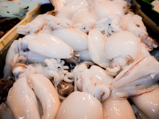 Fish on the fishpond bench