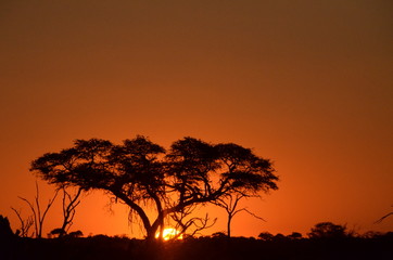 Coucher du soleil en Namibie