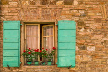 roses on window of ancient cottage