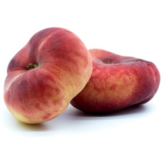 italian tabacchiere peach