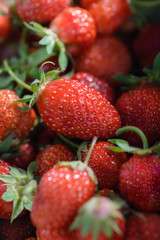 Ginger strawberries after harvest