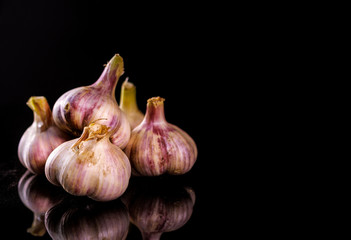 Fresh Garlic. Garlic bulbs on a black background. Place for text on the right