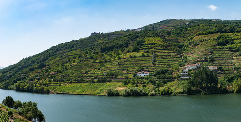 Fototapeta na wymiar Point of view shot of terraced vineyards in Douro Valley