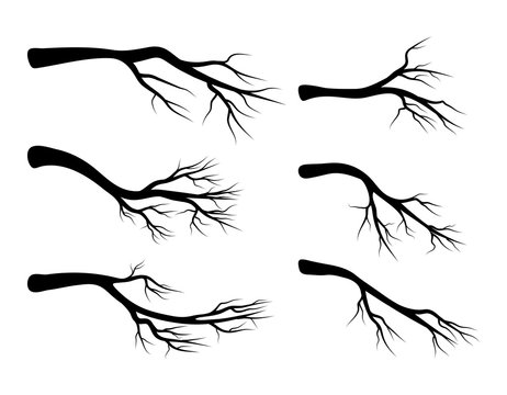 bare branch set vector symbol icon design. Beautiful illustration isolated on white background