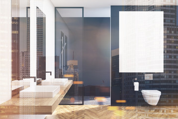 Black lavatory, poster, sink, double