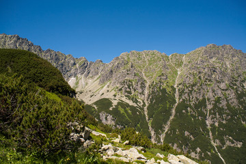 View from the top. Trail to the valley of five ponds. Tatra Mountains in Zakopane.