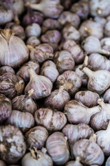 Fresh garlic close up