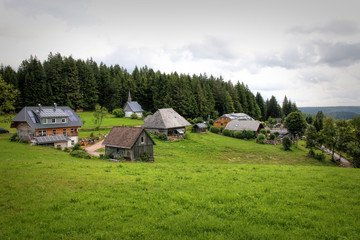 Scenic countryside landscape in the Black Forest: green summer mountain valley with forests, fields and old houses in Germany
