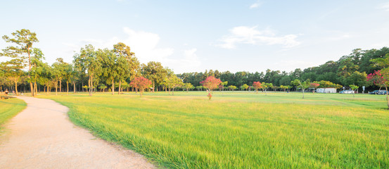 Green grass meadow and trees in big city park at Humble, Texas, US. Scene field, pine, oak tree, trail at sunset warm light, parking lots on the right. Natural composition, healthy lifestyle. Panorama