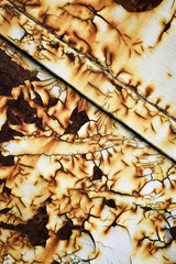 Detail of an old rusty metal gate