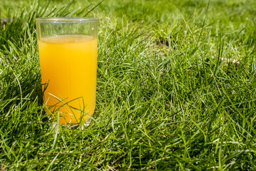 Glass of orange juice from above on green grass