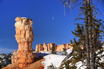Hoodoos, Snow, and the Moon at Bryce