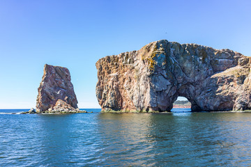 Obraz premium Gannet bird flying by Rocher Perce rock cliff in Gaspesie region of Quebec, Canada