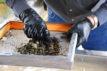 Arkansas Diamond Hunt