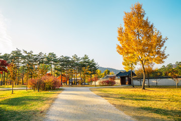 Autumn of Gyeongbokgung palace in Seoul, Korea