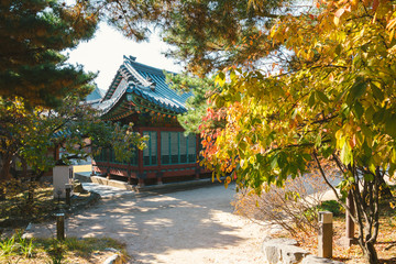 Autumn maple and Korean traditional architecture at Deoksugung Palace in Seoul, Korea