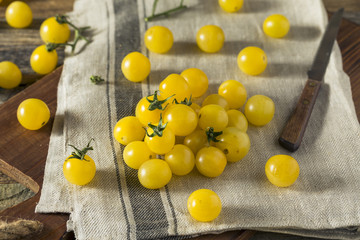 Fototapeta na wymiar Raw Organic Yellow Cherry Tomatoes