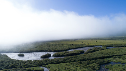 beautiful wetland under mist sky