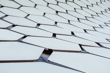 Facade Museo Soumaya