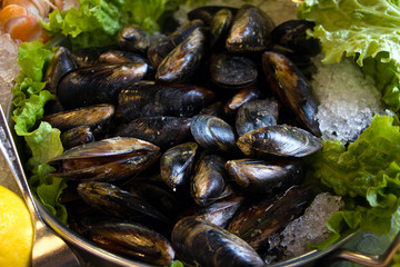 Mussels seafood decorated