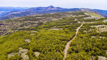 Paisaje de arboleda aérea