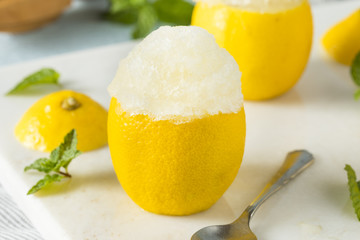 Obraz na płótnie Canvas Homemade Yellow Lemon Italian Ice
