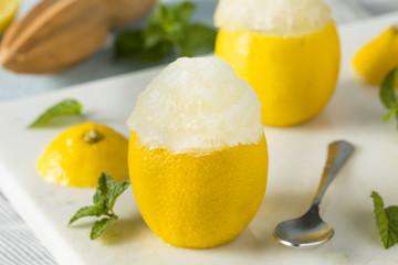 Fototapeta na wymiar Homemade Yellow Lemon Italian Ice