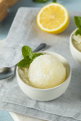 Homemade Yellow Lemon Italian Ice