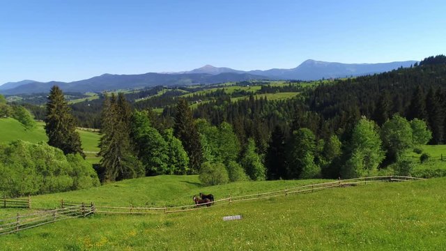Hourses in mountain village landscape