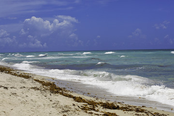 Fototapeta na wymiar Beach Florida