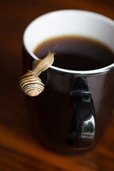 Snail slow work caffee mug