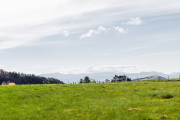 Fototapeta premium Beautiful landscape view of Utsukushigahara is one of the most important and popular natural place in Nagano , Japan.