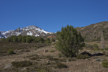 Mountainous landscape of Parque Yerba Loca set in a glacial valley close to Santiago, capital of Chile.