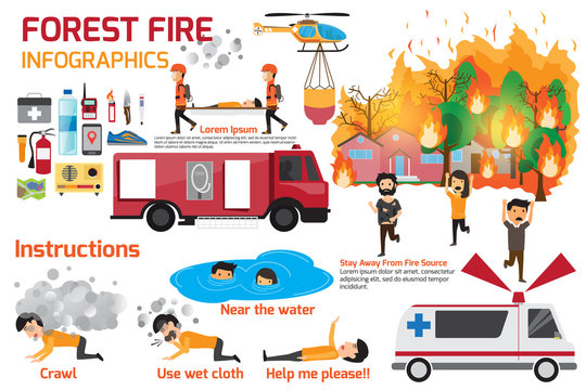 Forest Fire infographics. burning forest trees in fire flames - natural disaster concept. Concept of Wildfire with people manage to survive. Vector Illustration.