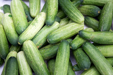 Fresh cucumber in the market