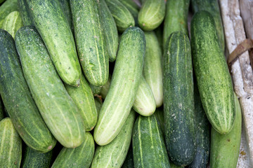 Fresh cucumber in the market