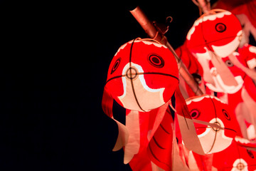 Goldfish lantern festival (Yanai city, Yamaguchi prefecture)